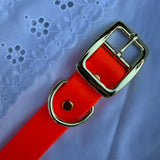 Le Collier Bijou Biothane® - Orange Fluo 25mm