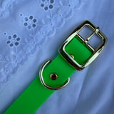 Le Collier Bijou Biothane® - Vert Fluo 25mm