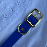 Le Collier Bijou Biothane® - Bleu Électrique 25mm