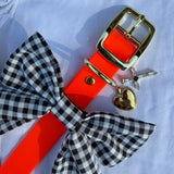 Le Collier Bijou Biothane® - Orange Fluo 25mm