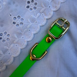 Le Collier Bijou Biothane® - Vert Fluo 12mm