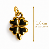 Médaille Porte-Bonheur N°30