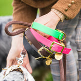 Le Collier Bijou Biothane® - Rose Fluo 25mm