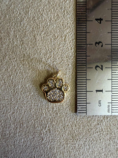 Médaille 62 - Patte de Chien