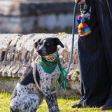 Foulard N°1 - Roseraie