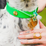 Le Collier Bijou Biothane® - Vert Fluo 25mm