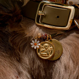 Le Collier Bijou Biothane® - Kaki 25mm