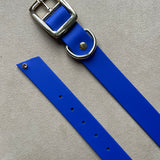 Le Collier Bijou Biothane® - Bleu Électrique 25mm