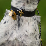 Le Collier Bijou Biothane® - Noir 25mm