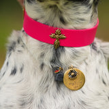 Le Collier Bijou Biothane® - Rose Fluo 25mm