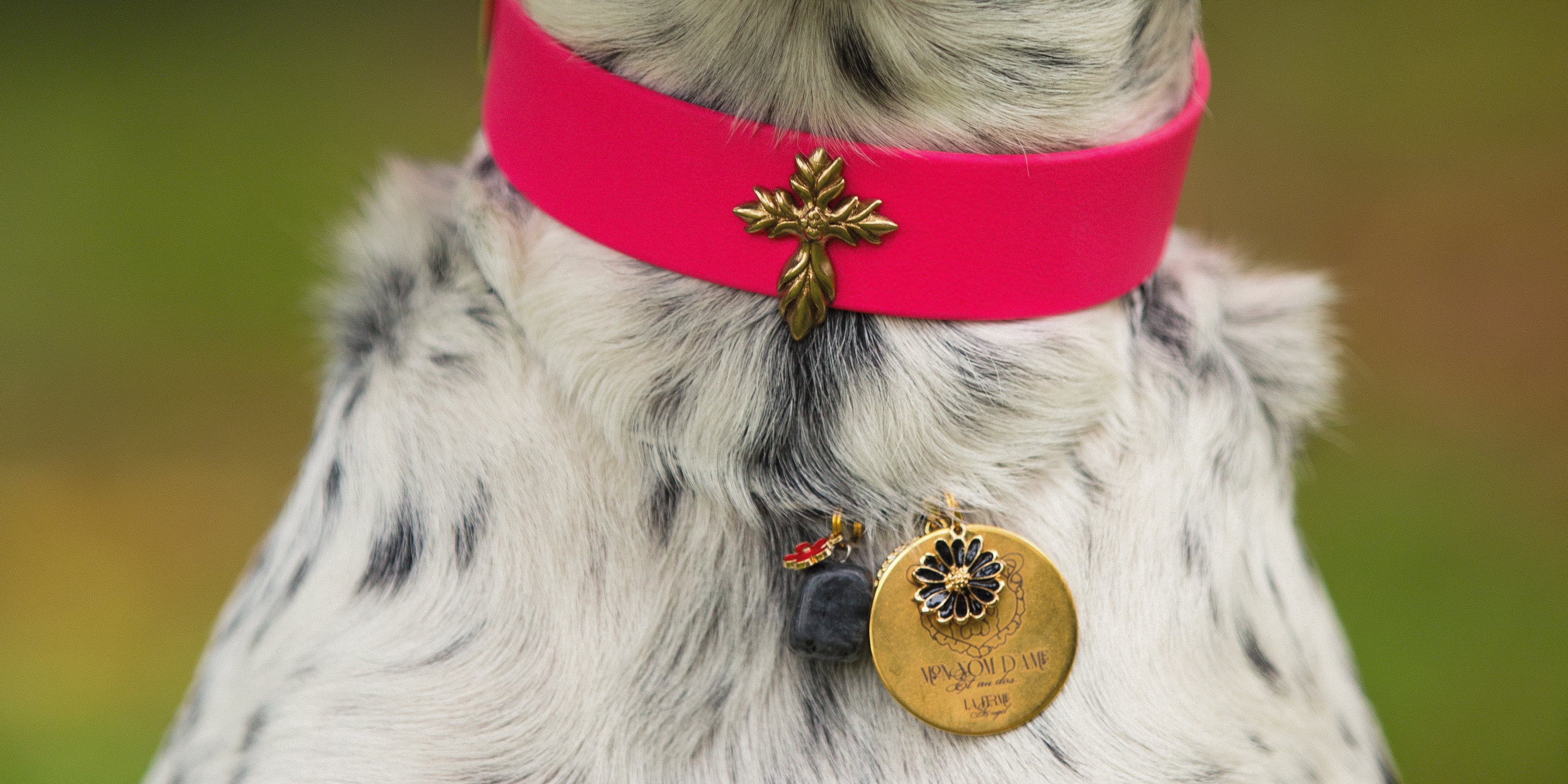 Le Collier Bijou Biothane® - Rose Fluo 25mm
