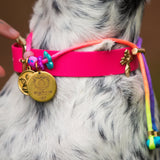 Le Collier Bijou Biothane® - Rose Fluo 25mm